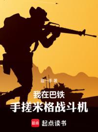 我在巴铁手搓米格战斗机